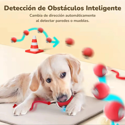 Pelota interactiva inteligente